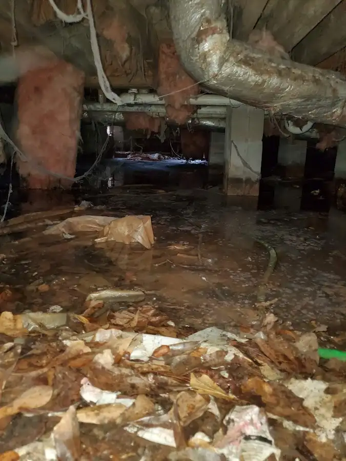 Crawl space flood assessment for Leak Detection & Repair in Rancho Mirage
